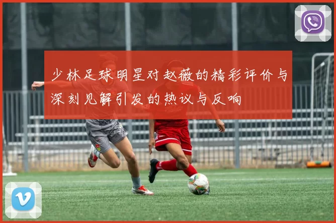 少林足球明星对赵薇的精彩评价与深刻见解引发的热议与反响