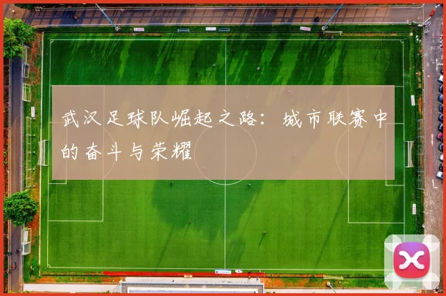 武汉足球队崛起之路：城市联赛中的奋斗与荣耀