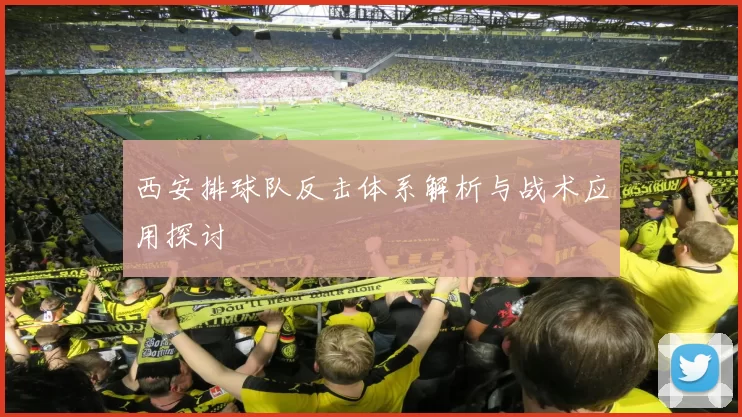 西安排球队反击体系解析与战术应用探讨