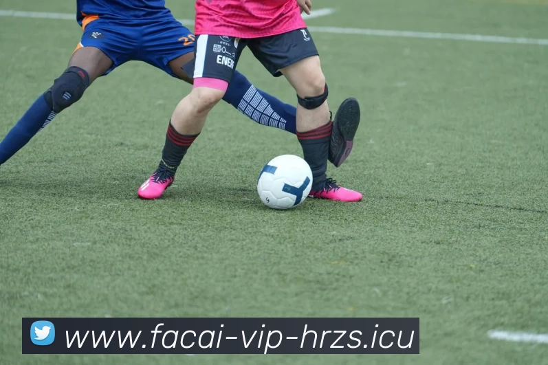 MK体育品牌故事