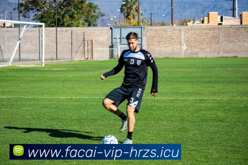 MK体育服务体系